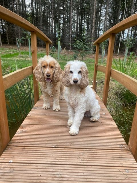 8a7026d2-9539-44f8-a0a6-4ae4aa71b6ee